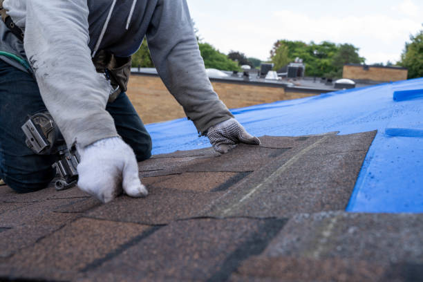 Quick and Trustworthy Emergency Roof Repair Services in Baywood Park, CA
